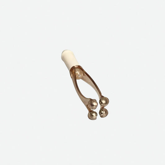Magnetroller