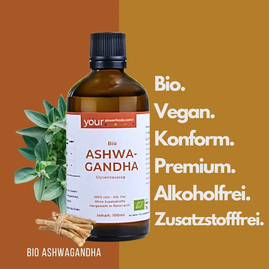 Balance Blutdruck-Bundle – Natürliche Begleiter für deinen Alltag