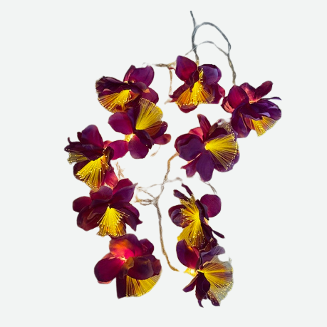 Oster Set Licht- und Wunschritual