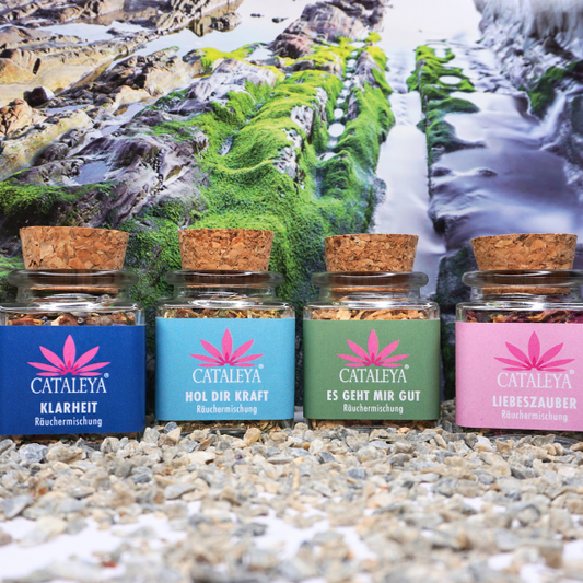 RÄUCHERSET für energetische Reinigung