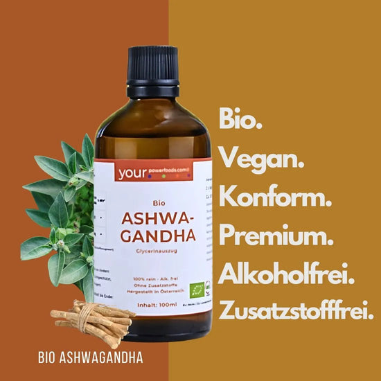 Balance Blutdruck - Bundle – Natürliche Begleiter für deinen Alltag - BLG Beautiful Life