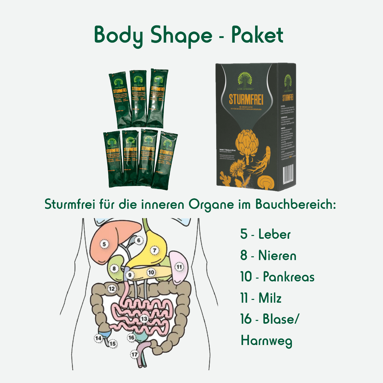 Body Shape Paket - BLG Beautiful Life