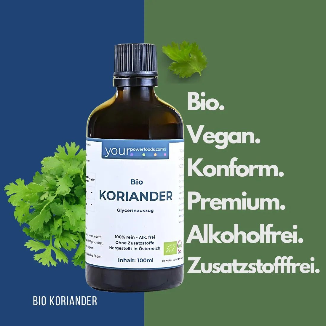 Detox Duo – HMDS Smoothie & Koriander Tinktur - BLG Beautiful Life
