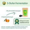 Fermentierte Kumquat - BLG Beautiful Life