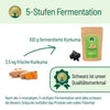 Fermentierte Kurkuma - BLG Beautiful Life