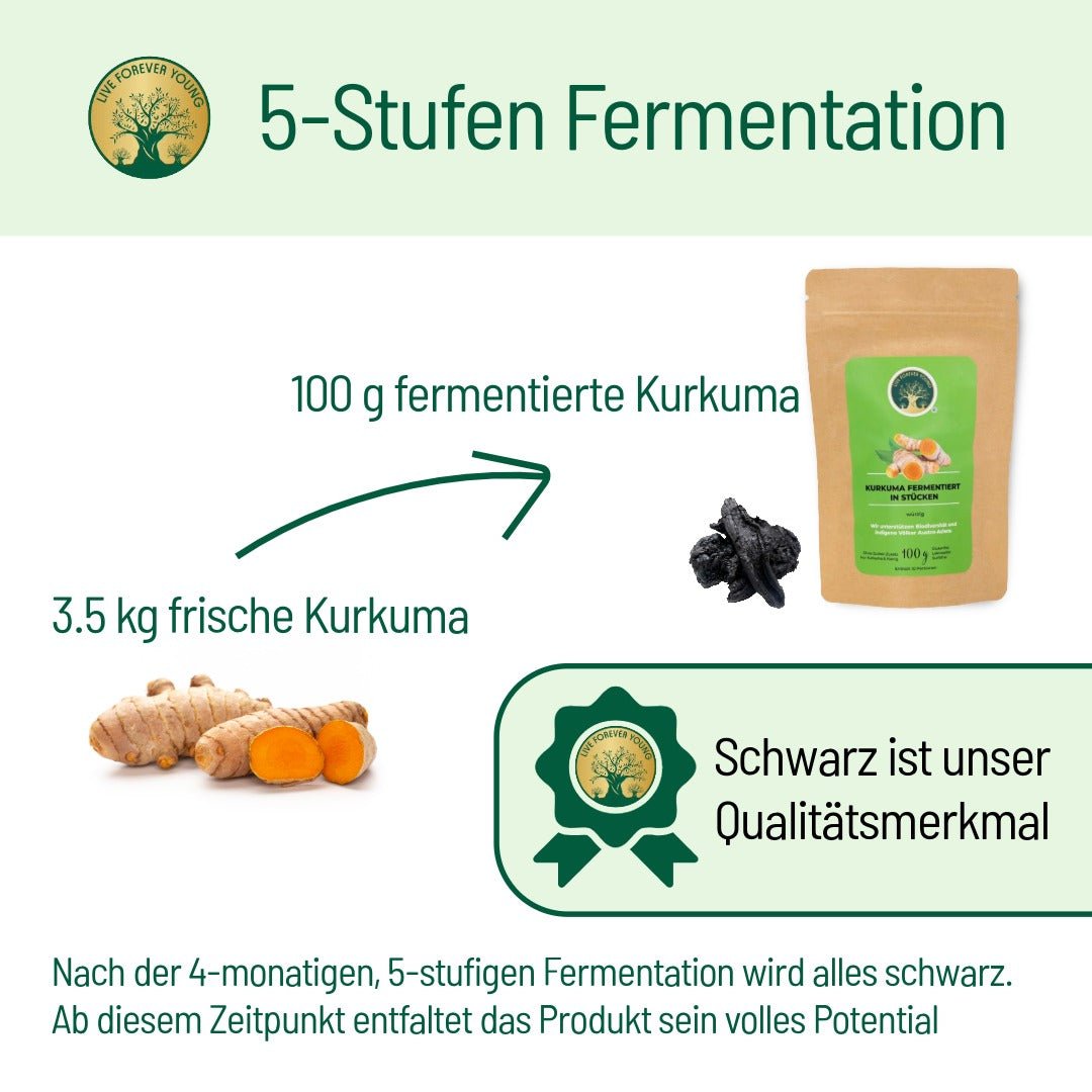 Fermentierte Kurkuma - BLG Beautiful Life