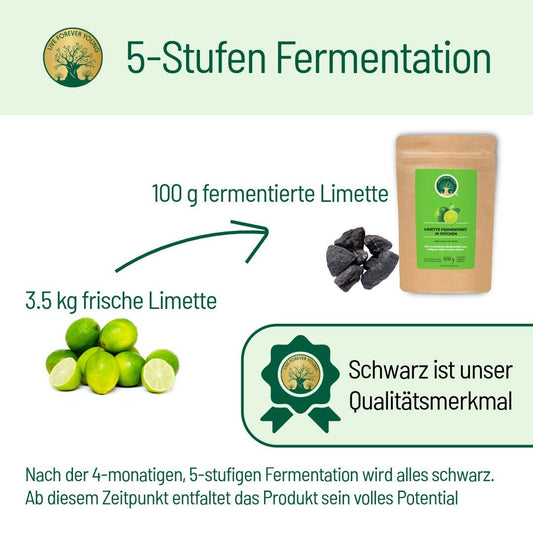 Fermentierte Limette - BLG Beautiful Life