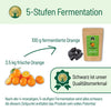 Fermentierte Orange - BLG Beautiful Life