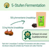 Fermentierte Urwaldfeige - BLG Beautiful Life