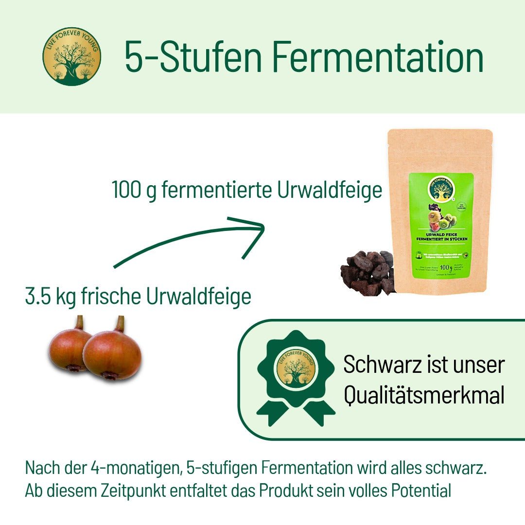 Fermentierte Urwaldfeige - BLG Beautiful Life