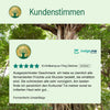 Fermentierte Urwaldfeige - BLG Beautiful Life