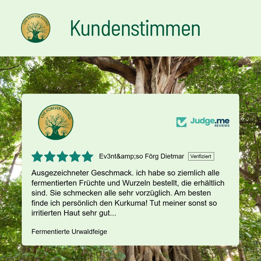 Fermentierte Urwaldfeige - BLG Beautiful Life