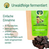 Fermentierte Urwaldfeige - BLG Beautiful Life