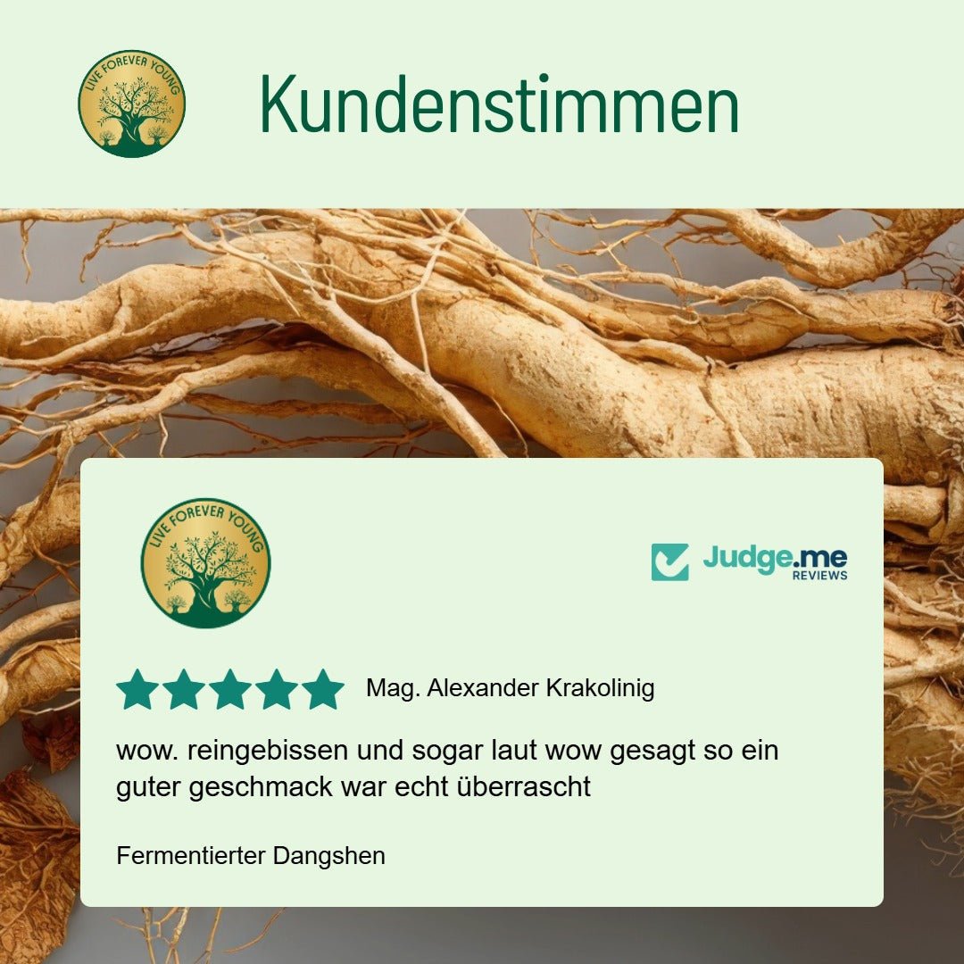 Fermentierter Dangshen - BLG Beautiful Life