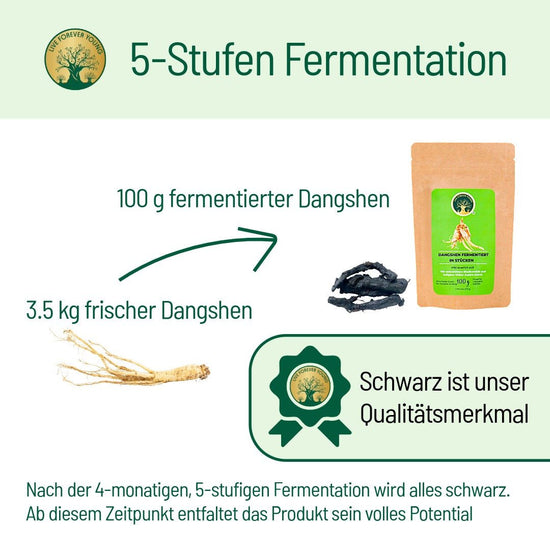 Fermentierter Dangshen - BLG Beautiful Life