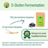 Fermentierter Dangshen - BLG Beautiful Life