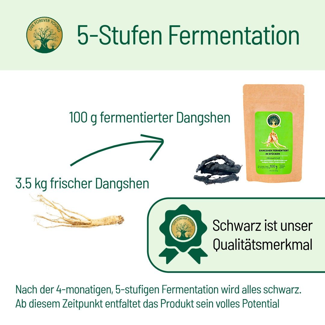 Fermentierter Dangshen - BLG Beautiful Life