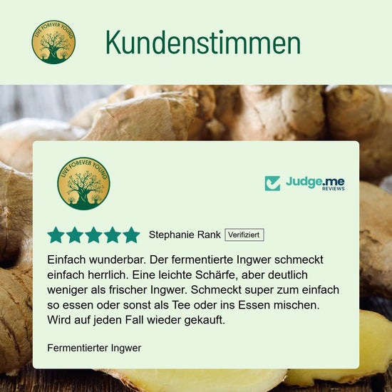 Fermentierter Ingwer - BLG Beautiful Life