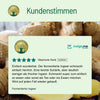 Fermentierter Ingwer - BLG Beautiful Life