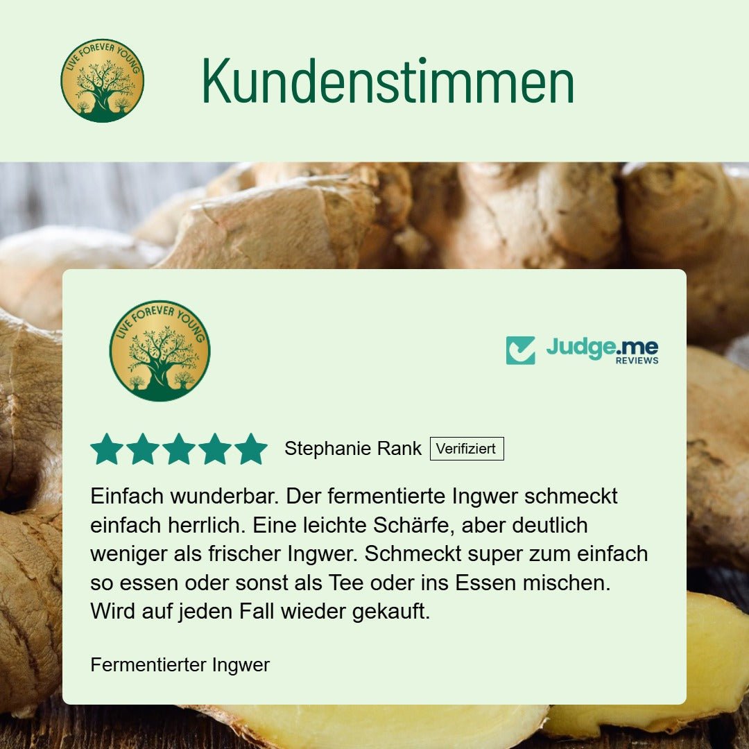 Fermentierter Ingwer - BLG Beautiful Life
