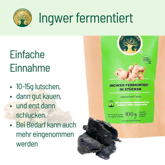 Fermentierter Ingwer - BLG Beautiful Life