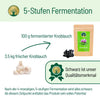 Fermentierter Knoblauch - BLG Beautiful Life