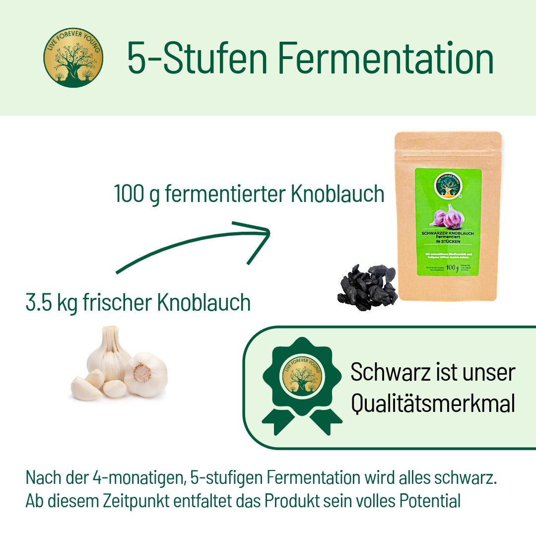 Fermentierter Knoblauch - BLG Beautiful Life