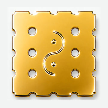 GEO-SYN Chip groß