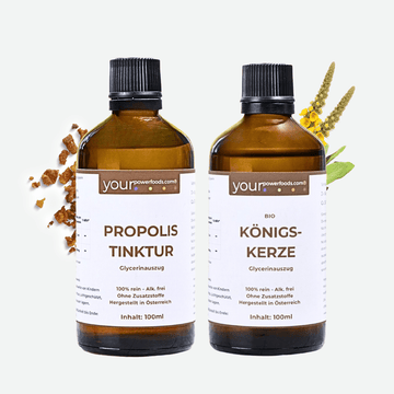 Immunkraft & Atemwohl Set – Dein Begleiter durch jede Saison - BLG Beautiful Life