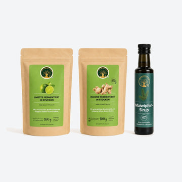 Limonaden-Paket - BLG Beautiful Life