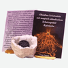 Magisches Schutzschild Obsidian - BLG Beautiful Life