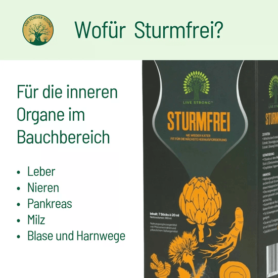 Sturmfrei Paket - BLG Beautiful Life