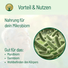 Sturmfrei Paket - BLG Beautiful Life