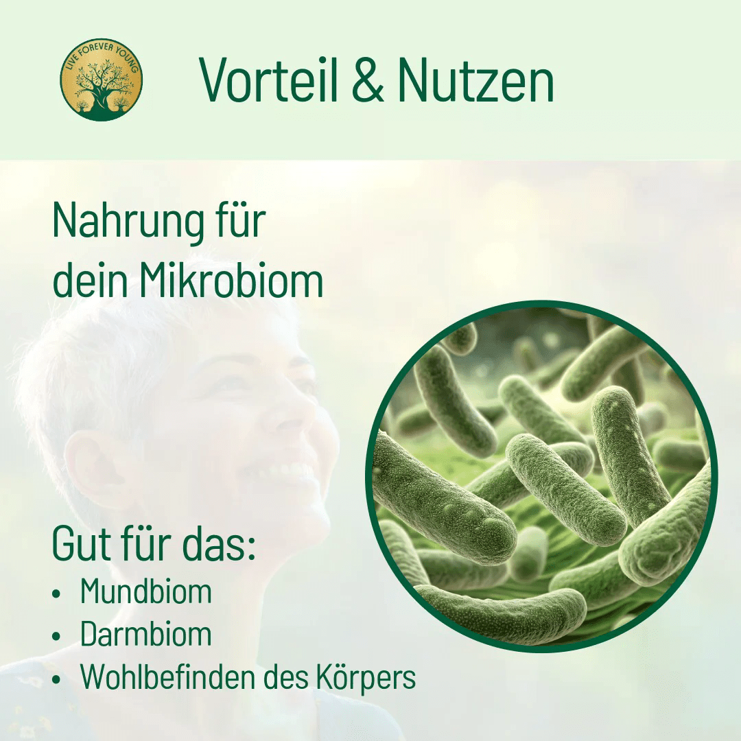 Sturmfrei Paket - BLG Beautiful Life